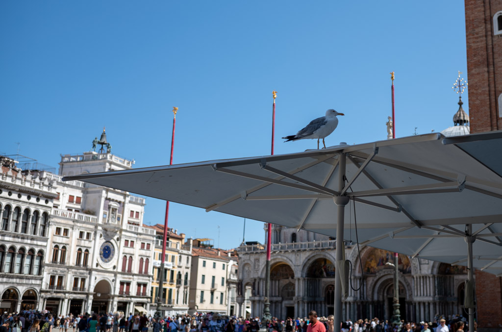 Venedig-BIRN6019-2021-LEICA_M10-R